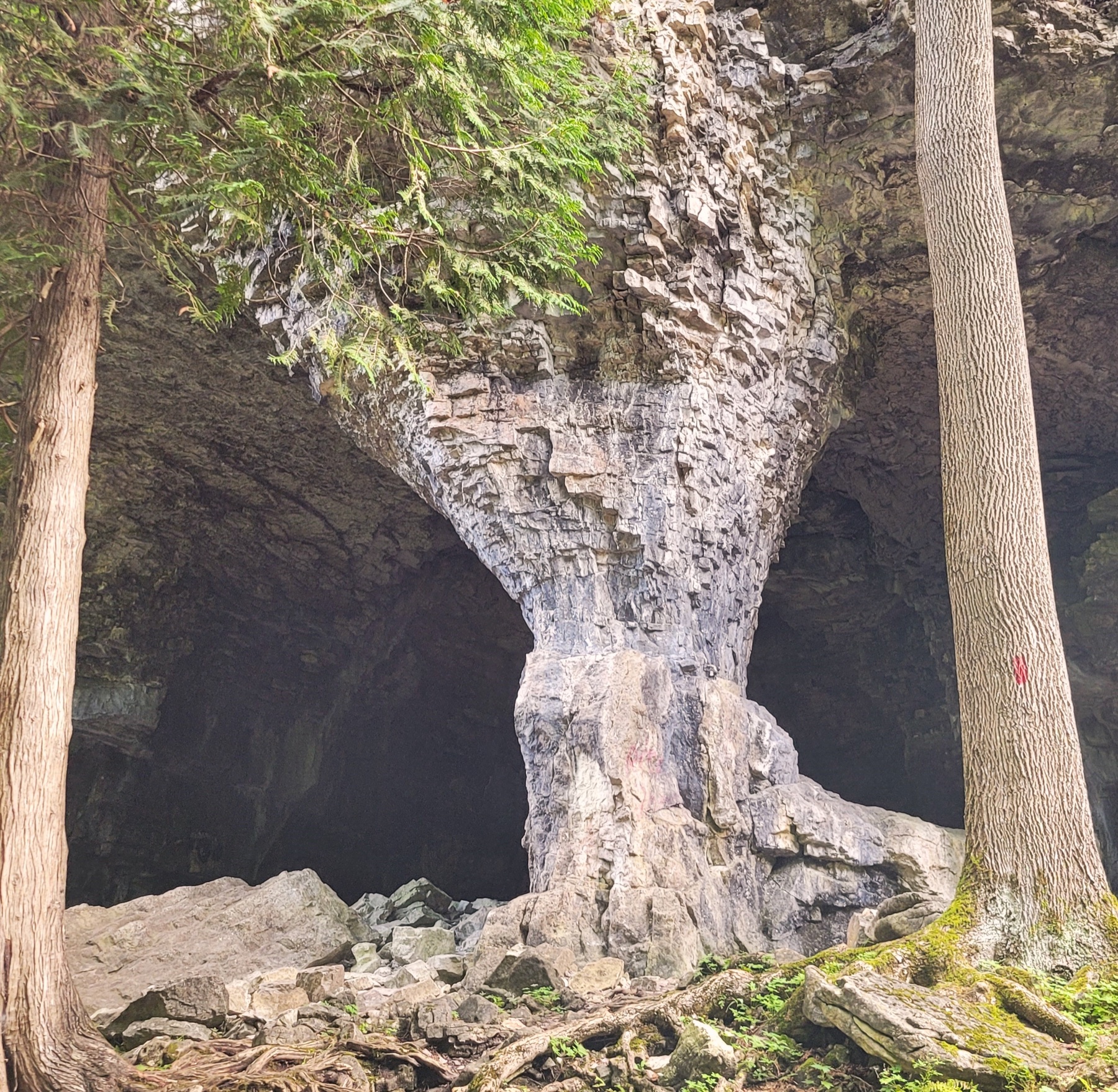 Nearby Bruce’s Caves