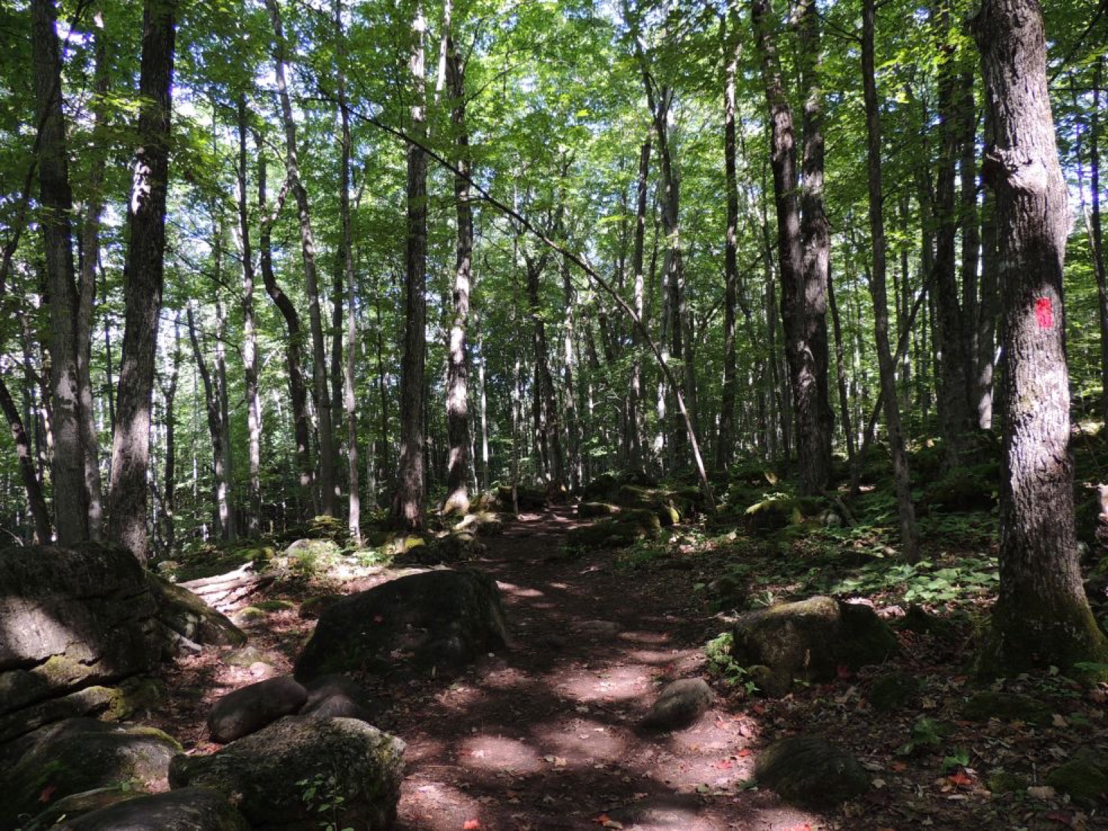 Nearby Bruce’s Caves trail