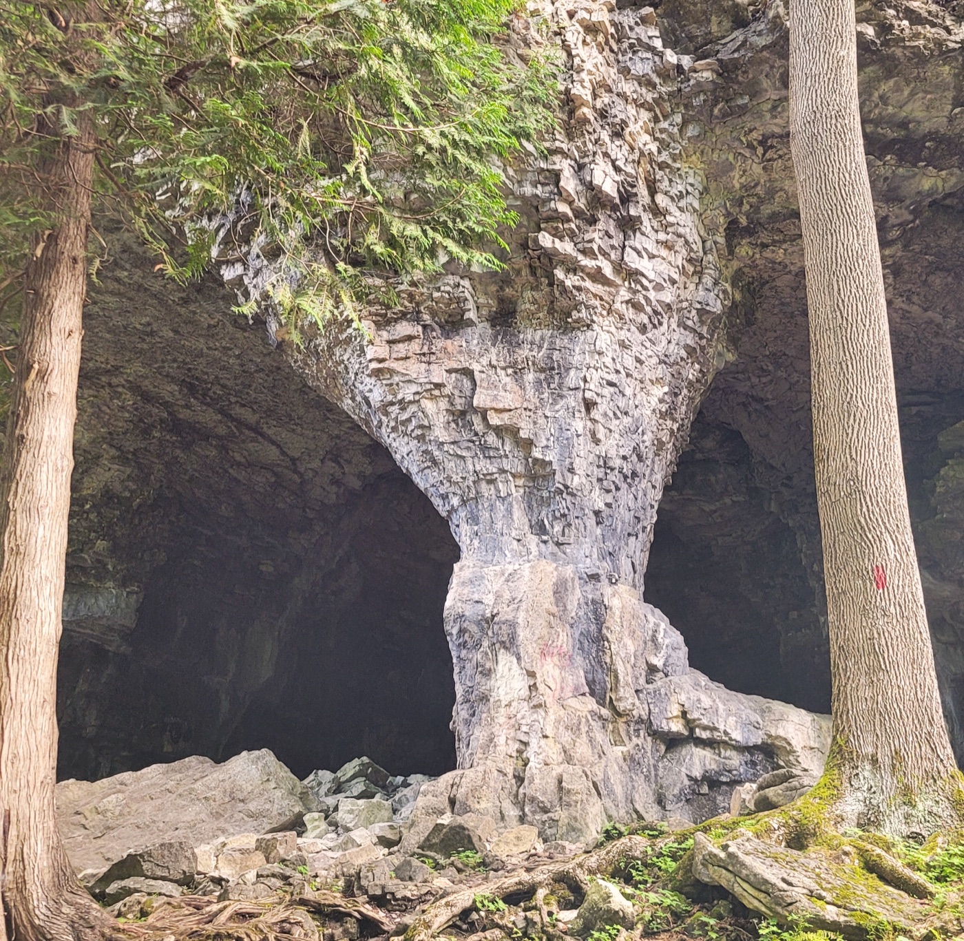Nearby Bruce’s Caves
