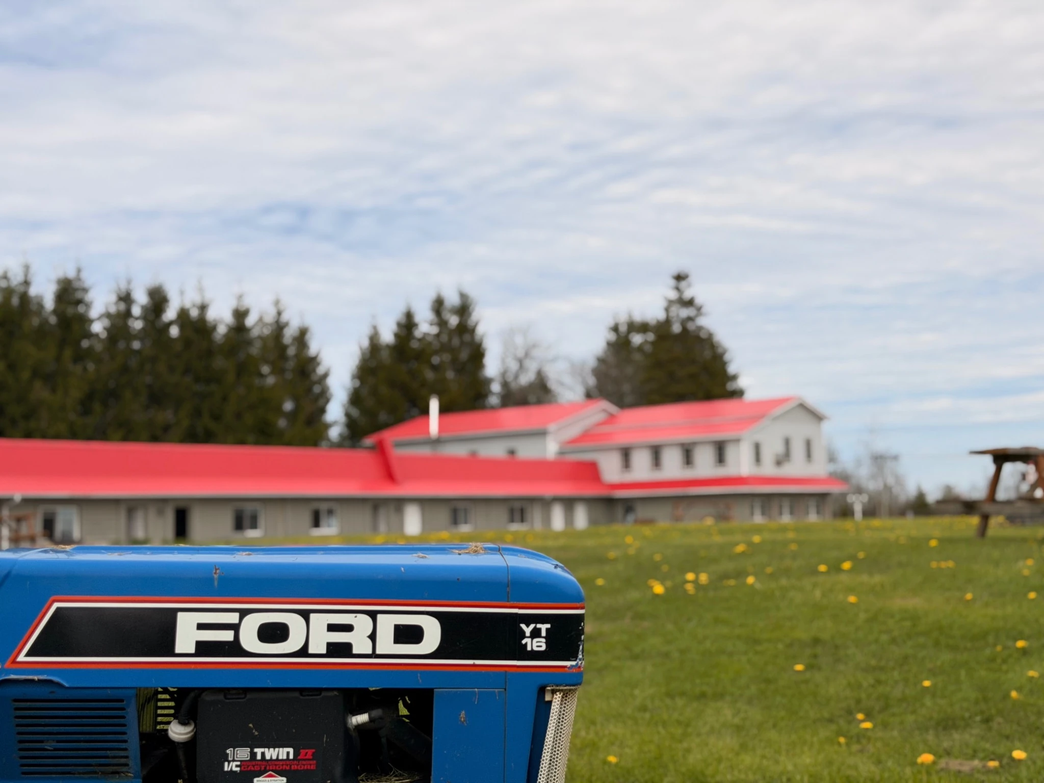 Green space around Wiarton Willys Inn