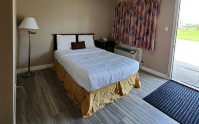 Wiarton Willy's Inn motel budget double room